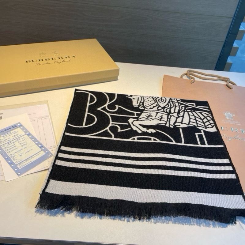 Burberry Scarf